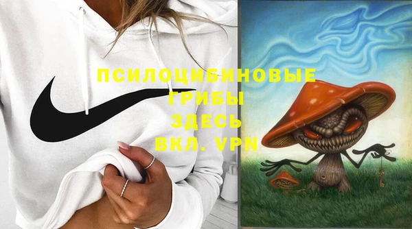 хмурый Белоозёрский